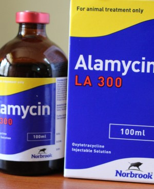 amamycin 100ml